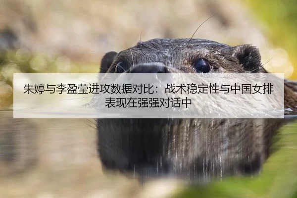 朱婷与李盈莹进攻数据对比：战术稳定性与中国女排表现在强强对话中